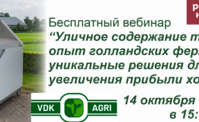 Bepul vebinar!