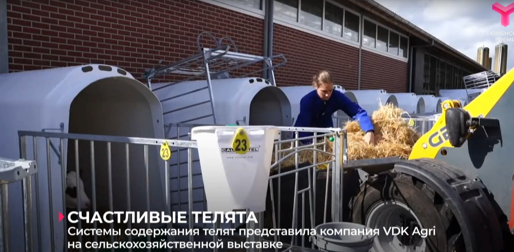VDK-AGRI dan buzoqlarni saqlash tizimlari