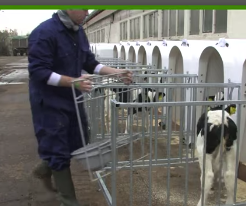 Vdk-Agri uylari bilan etti yildan ortiq fermer xo'jaligi